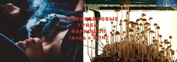 твердый Богданович