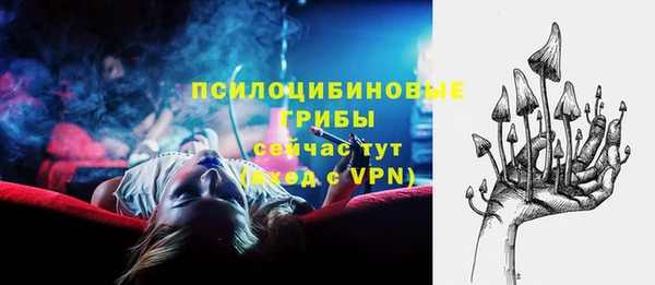 спиды Богородск