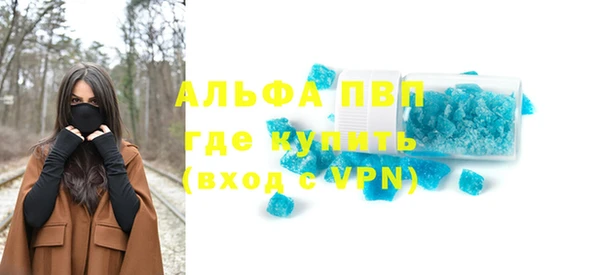 твердый Богданович