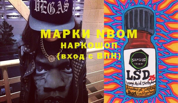 твердый Богданович