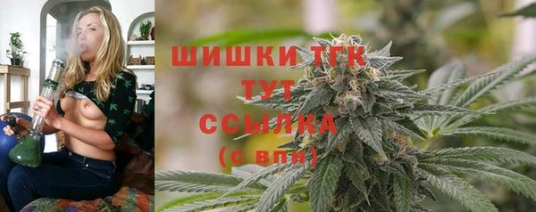 спиды Богородск