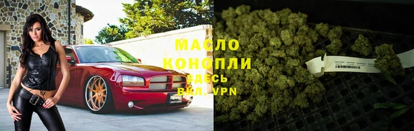 твердый Богданович