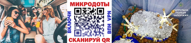 Псилоцибиновые грибы MAGIC MUSHROOMS  Купить где  Шацк 